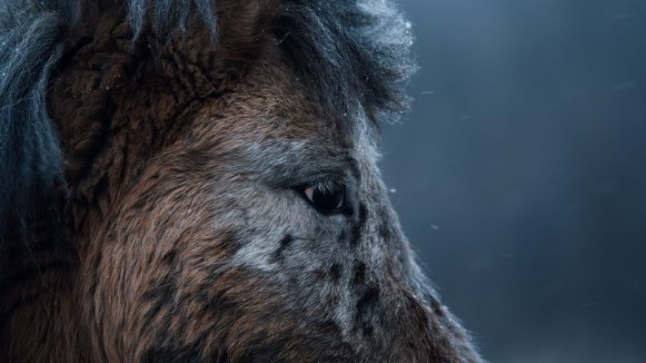 Cinematic color grading before and after using Nomadic Drift finishing LUT