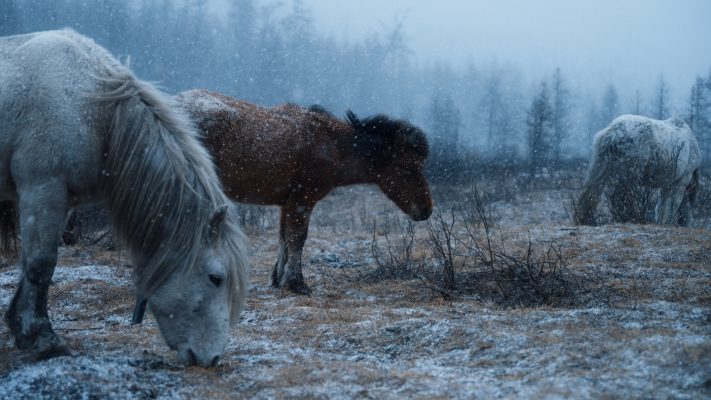 Cinematic color grading before and after using Nomadic Drift finishing LUT
