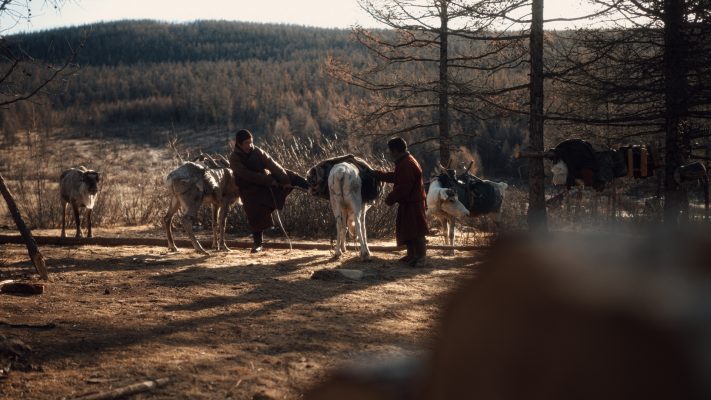 Cinematic color grading before and after using Nomadic Drift finishing LUT