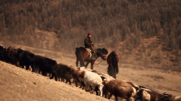 Cinematic color grading before and after using Nomadic Drift finishing LUT