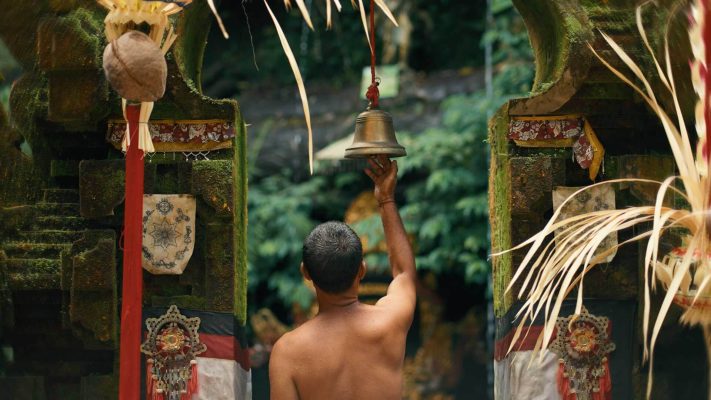 Cinematic color grading before and after using jungle honey finishing LUT by visual tone