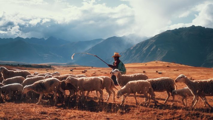 Cinematic color grading before and after using Afterglow | Andean Dust finishing LUT by visual tone